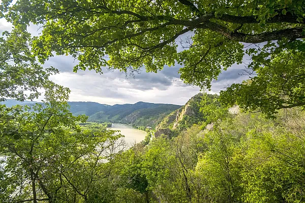 Der Blickwinkel aus dem Wald heraus ist typisch für Wanderwege in dieser Region die durch das Donautal führen.