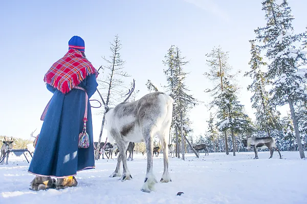 Sami Frau mit Rentier