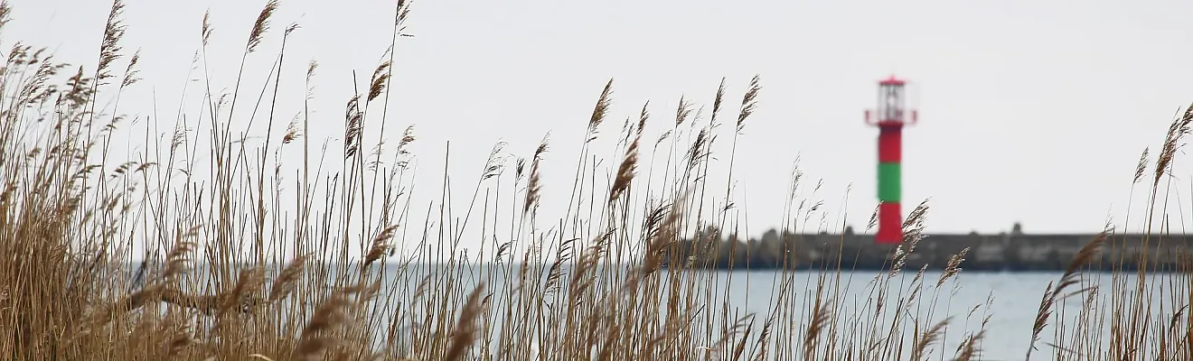 Im Vordergrund ist trockenes Schilfgras zu sehen, im Hintergrund befindet sich der rote Leuchtturm von Swinemünde mit einem grünen Streifen auf einer Mole
