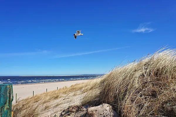 Das Bild zeigt die Ostsee am Strand von Swinemünde.