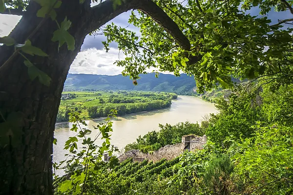 Das Bild zeigt die Wachau, eine malerische Flusslandschaft an der Donau in Österreich.