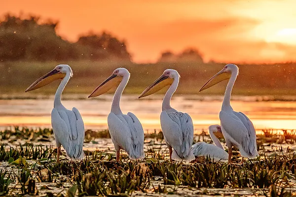 Flusskreuzfahrt auf der Donau