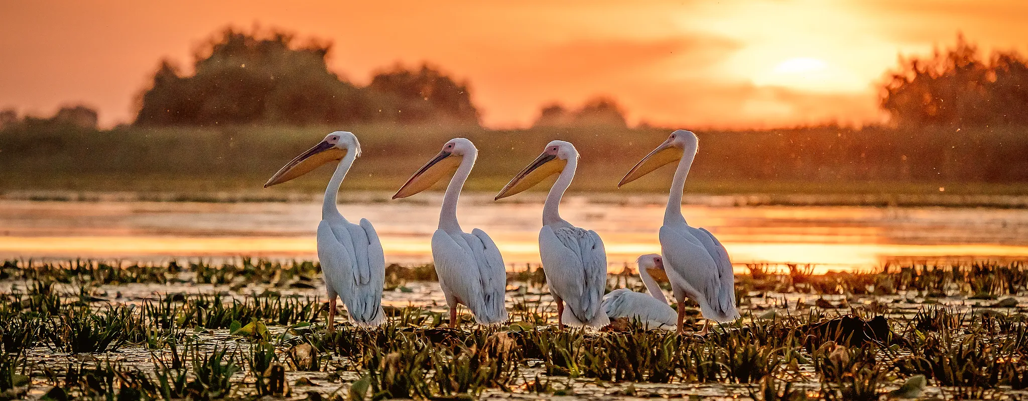 Flusskreuzfahrt auf der Donau